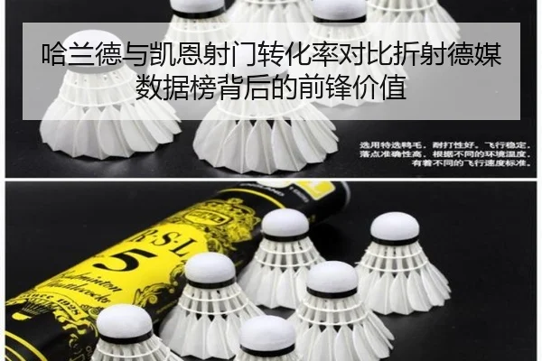 哈兰德与凯恩射门转化率对比折射德媒数据榜背后的前锋价值